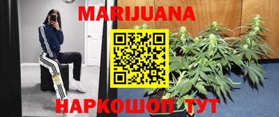 apvp Нальчик