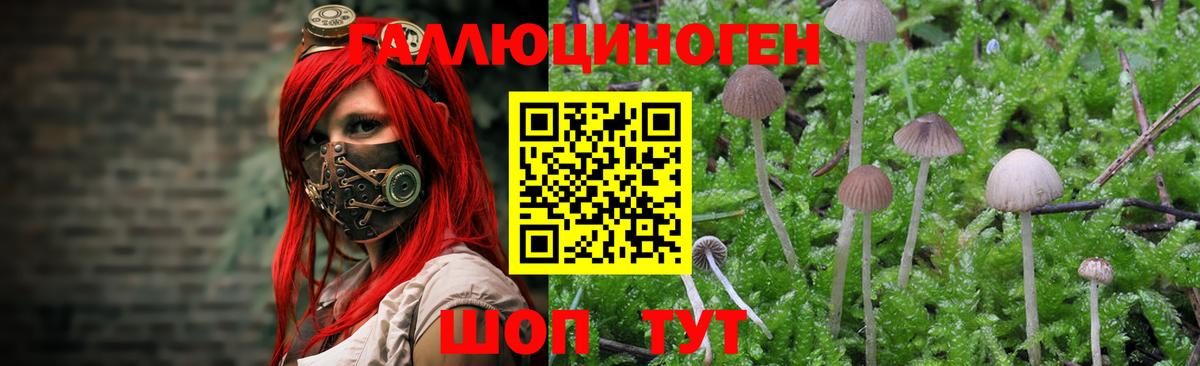 Псилоцибиновые грибы ЛСД  Вход с VPN  Ртищево 